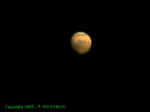 mars18122005_iris.jpg (10593 octets)